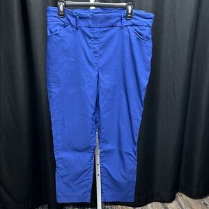 Hilary Radley Royal Blue Cropped Pants